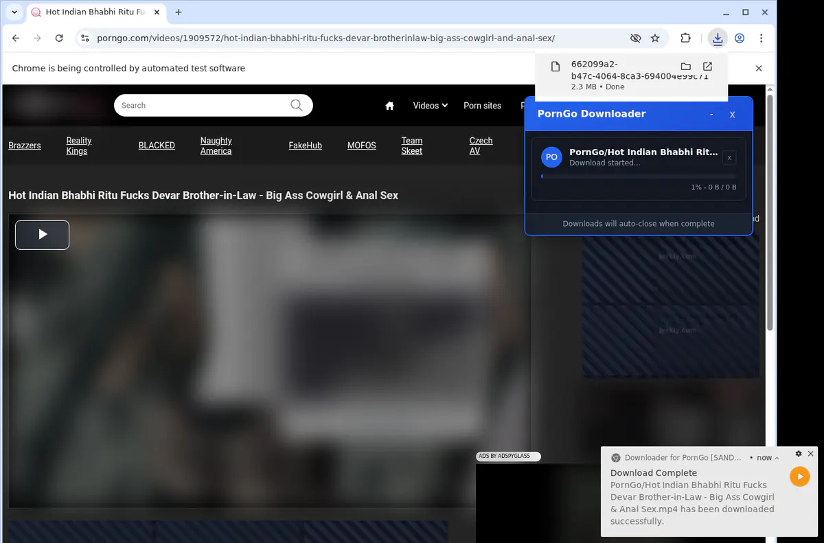 Porngo Video Downloader browser extension screenshot 2