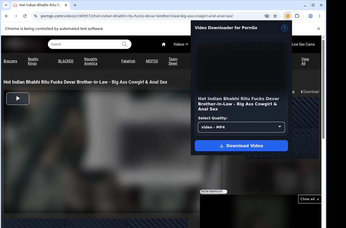 Porngo Video Downloader browser extension screenshot 3