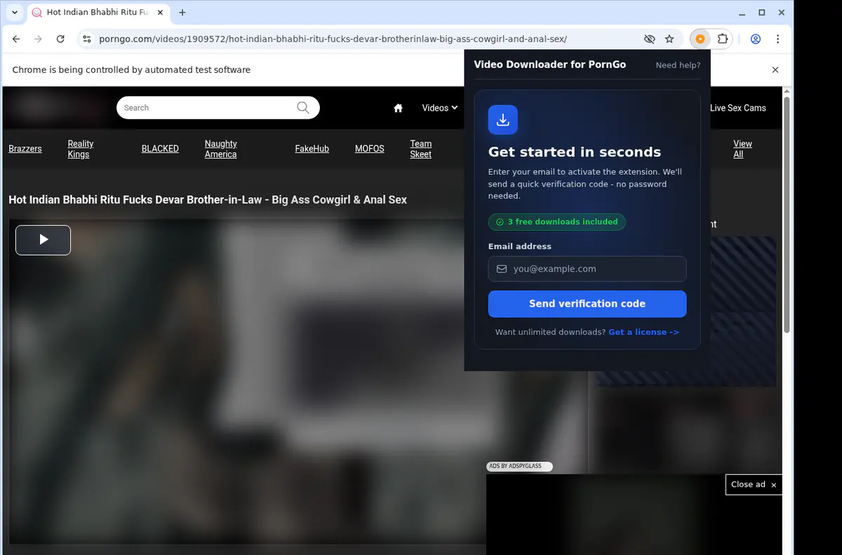 Porngo Video Downloader browser extension screenshot 5